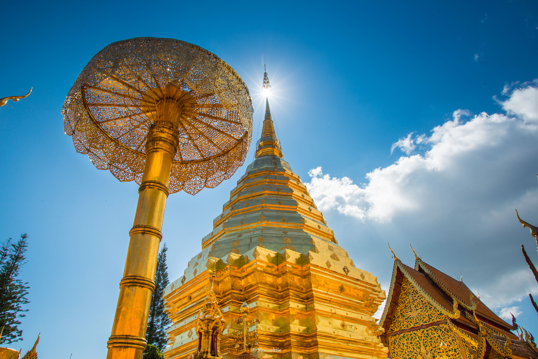 วัดร่องขุ่น